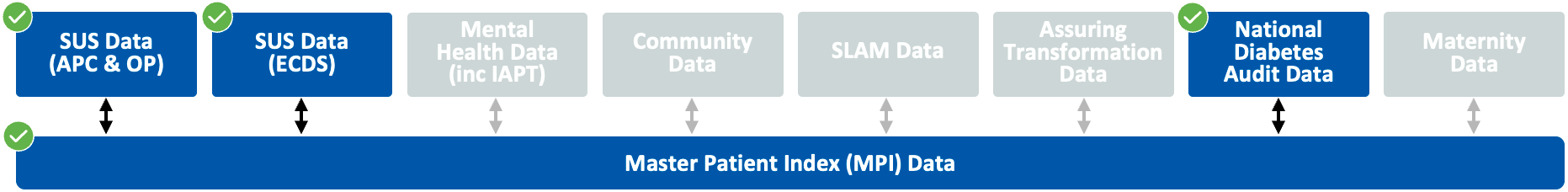 Diagram showing that the datasets SUS (APC & OP), SUS Data (ECDS), and National Diabetes Audit Data, are used in the Diabetes subsegment.