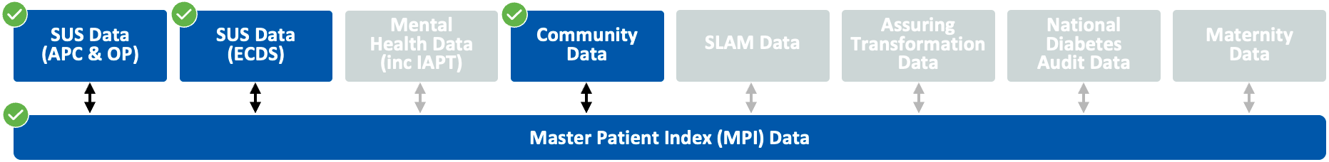 Diagram showing that the datasets SUS (APC & OP), SUS Data (ECDS), and Community Data, are used in the Epilepsy subsegment.