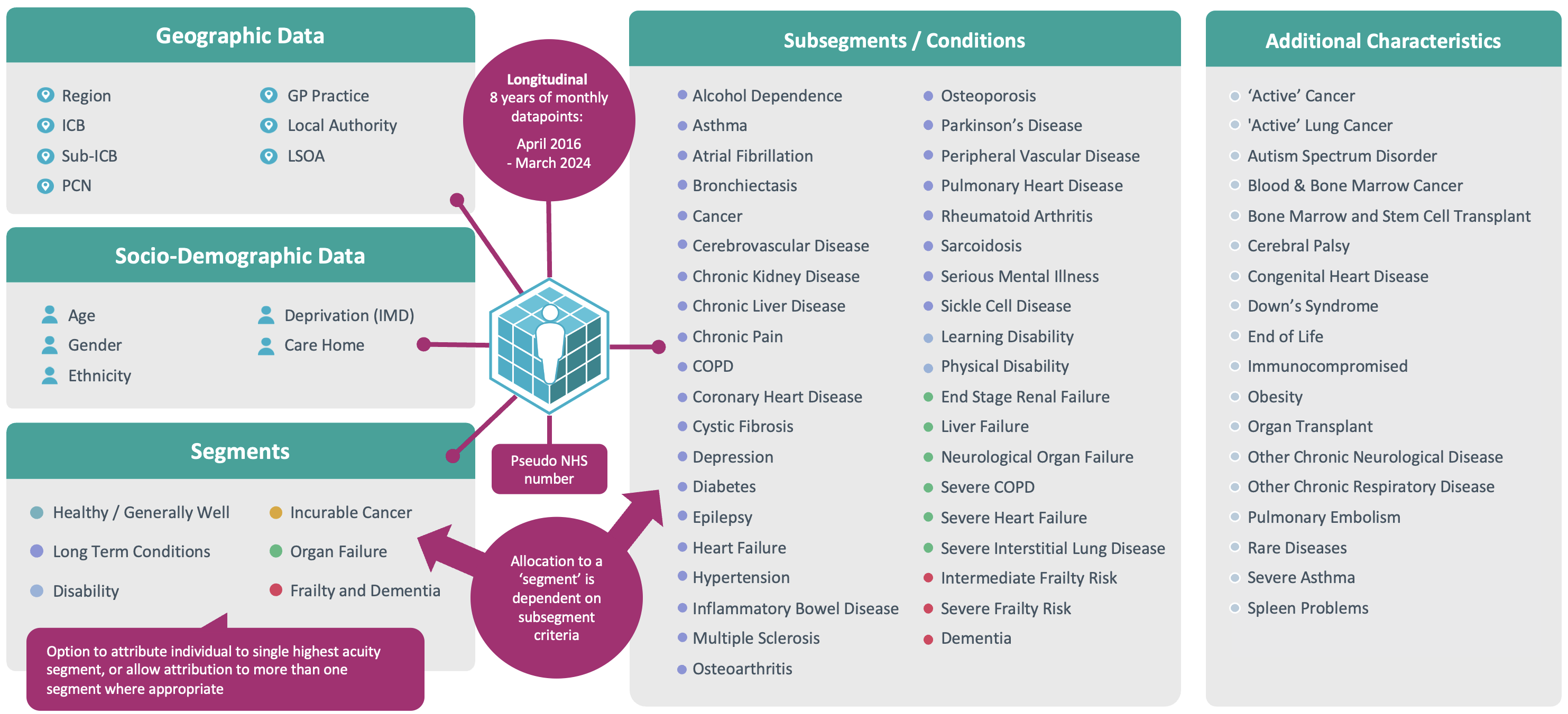 Image showing the key features of the National Bridges to Health Segmentation Dataset.