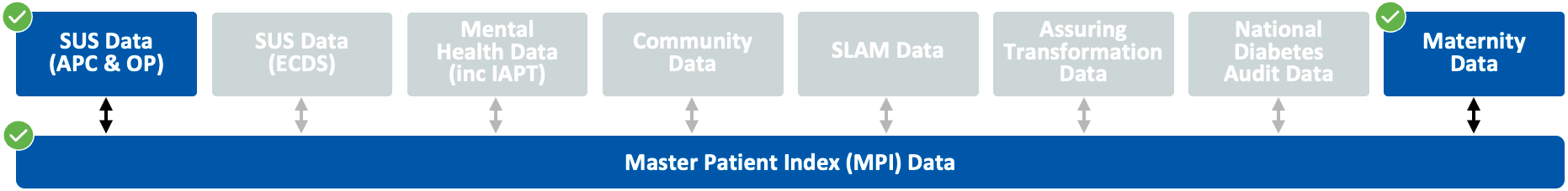 Diagram showing that the datasets SUS (APC & OP) and Maternity Data are used in the Maternity Health subsegment.