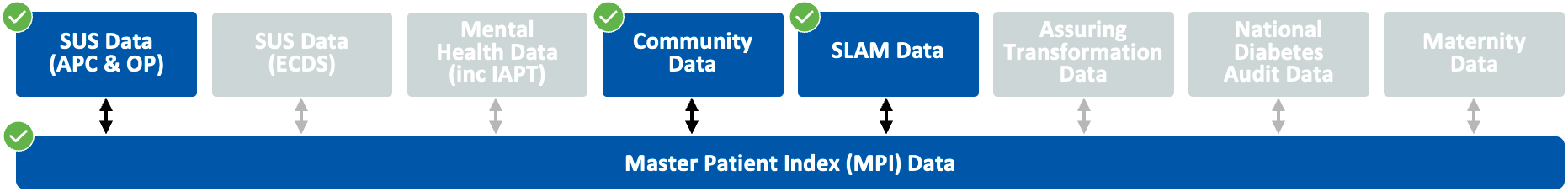 Diagram showing that the datasets SUS (APC & OP), Community Data, and SLAM Data, are used in the Physical Disability subsegment.