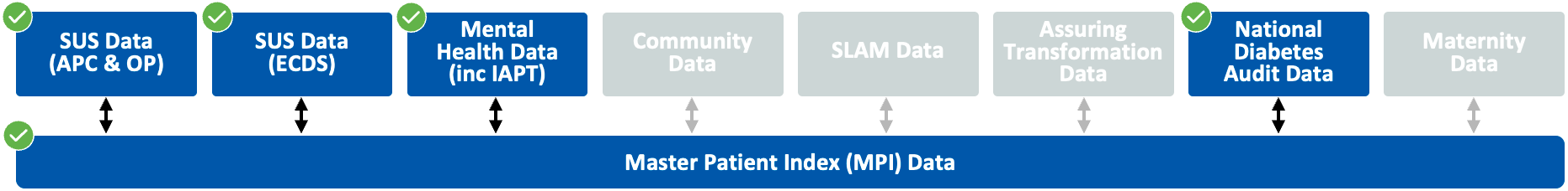 Diagram showing that the datasets SUS (APC & OP), SUS Data (ECDS), Mental Health Data (Inc IAPT), and National Diabetes Audit Data, are used in the Serious Mental Illness subsegment.