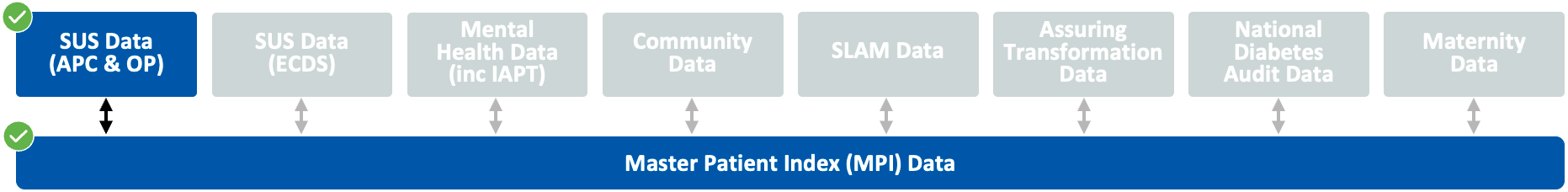 Diagram showing that the datasets SUS (APC & OP) is used to focus on the segment of the population with Spleen Problems.